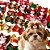 Laço Pet Natal M Sortidos (10, 30 ou 50 un) - Imagem 1