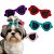 25 Laços Óculos Pet EVA Cores Sortidas - Imagem 1