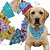 Bandanas Pet Sortidas G e GG | Pacotes com 10, 30 e 50 un - Imagem 1