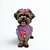 Conjunto Pet Bandana e Mini Chapéu de Palha Festa Junina Femea - Imagem 1