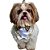 Bandana Pet Luxo Ano Novo Réveillon - Imagem 2