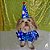 Conjunto Pet Bandana e Chapéu Regulável Palhaço Carnaval - Imagem 1