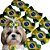 Laço Pet Brasil Copa do Mundo M (10, 30, 50, ou 100 un) - Imagem 1