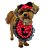 Conjunto Pet Minnie Bandana e Boné - Imagem 1
