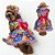 Conjunto Pet Vestido e Chapéu de Palha Festa Junina - Imagem 1