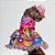 Conjunto Pet Vestido e Chapéu de Palha Festa Junina - Imagem 2