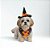 Conjunto Pet Bruxa Halloween Gargantilha e Chapeu Regulável - Imagem 3