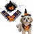 KIT Para Banho e Tosa Halloween | Laços, Gravatas e Adesivos (Várias Opções) - Imagem 4