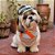 Conjunto Pet Bandana e Chapéu Regulável Chaves - Imagem 2