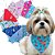 KIT Luxo Para Banho e Tosa Laços, Gravatas e Bandanas (Várias Opções) - Imagem 3