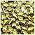 Bacalhau ABS Dourado 16mm - Imagem 1