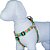 Peitoral Cachorro Ajustável com Guia Estampa Califórnia - Imagem 2