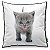 Almofada Love Cats Black Edition - British Grey - Imagem 1