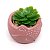 Vasinho Decorativo Raposinha planta suculenta artificial - rosa - Imagem 2