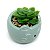 Vasinho Decorativo Gatinho planta suculenta artificial - verde - Imagem 2