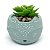 Vasinho Decorativo Raposinha planta suculenta artificial - verde - Imagem 1
