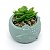 Vasinho Decorativo Raposinha planta suculenta artificial - verde - Imagem 2