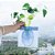 Vaso Adesivo para Flores e Plantas Silicone Reutilizável - Imagem 3
