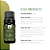 Refil Air Profissional - Chá Branco - Imagem 6