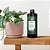 Difusor de Varetas 500 ml - Jade - Imagem 2