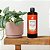 Difusor de Varetas 500 ml - Pitangui - Imagem 2