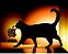 Gatos - Luminárias LED de MDF - Imagem 5