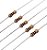 Resistor 100Ω 1/4W x 10 Unidades - Imagem 1
