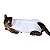 Roupa Cirúrgica Para Gatos - Imagem 3