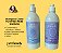 FILHOTES E PELES SENSÍVEIS - Shampoo + Creme Condicionador Efeito Calmante Pet Family 500ml - Imagem 5