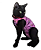 ROUPA PÓS CIRÚRGICA PARA GATO FÊMEA - escolha a variação - Imagem 4