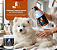 Kit Shampoo Pet Neutralizador de Odores 1L + Máscara Repair 500g DuPet Profissional - Imagem 2