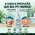 ÓLEO MELALEUCA E GIRASSOL - Anti Dermatite Coceiras Calmante da Pele Dermoprotetor Pet/Cão/Gato 60ml - Imagem 6