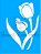 SRA-619 TULIPAS - 12X16 - Imagem 1