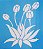 SRA-742 - TULIPAS - 24X27 - Imagem 1