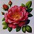 SRA-1701 - KIT PARA CONFECÇÃO DA TOALHA E ECOBAG DE ROSAS COM BEIJA FLOR - ADESIVO E STENCIL - Imagem 2