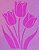 SRA-1786 - TULIPAS - Imagem 1