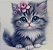 ADR-263 - GATINHO FOFO - - Imagem 1