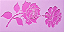 SRA-1836 - ROSA ABERTA E ROSA VIRADA - Imagem 1