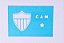 SRA-279 TIME ATLÉTICO MINEIRO 18X12 - Imagem 1