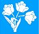 SRA-586 TULIPAS - 27X24 - Imagem 1