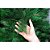 Árvore Pinheiro de Natal 1,50m Modelo Luxo 260 Galhos Verde A0215E - Imagem 3