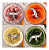 Processador Triturador Manual De Alimentos 5 Lâminas Multiuso Processador Triturador Manual De Alimentos 5 Lâminas Multiuso - Imagem 2
