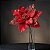 Kit 6 Galhos Flor Artificial Bico De Papagaio Vermelho 30cm - Imagem 8