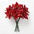 Kit 6 Galhos Flor Artificial Bico De Papagaio Vermelho 30cm - Imagem 1
