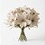 Kit 6 Flor Bico De Papagaio Champanhe Luxo Natal 32cm Veludo - Imagem 1