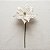 Kit 6 Flor Bico De Papagaio Champanhe Luxo Natal 32cm Veludo - Imagem 6