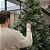 Árvore Pinheiro de Natal 1,50m Modelo Luxo 260 Galhos Cor Verde Green Needle A0315N - Imagem 4