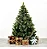 Árvore Pinheiro de Natal 1,50m Modelo Luxo 260 Galhos Cor Verde Green Needle A0315N - Imagem 7
