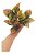 Kit Com 4 Plantas Artificial Folhagem Tropical Decoração - Imagem 2