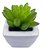 Mini Vaso Com Planta Suculenta Artificial 10x5 Cm Decoração - Imagem 1